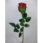 Róża pojedyncza kolor 4